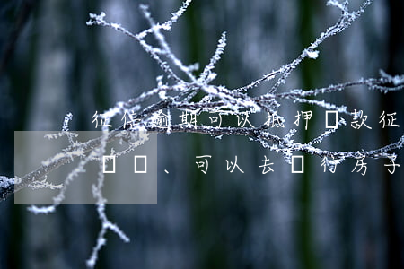 征信逾期可以抵押貸款(征信有過逾期、可以去銀行房子抵押貸款嗎)